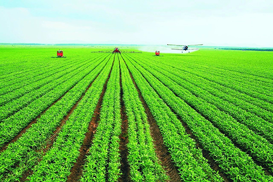 1559204386959397.jpg 0 (3).jpg