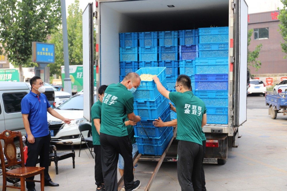 抗擊疫情 愛(ài)心企業(yè)捐贈(zèng)50萬(wàn)斤芽苗菜