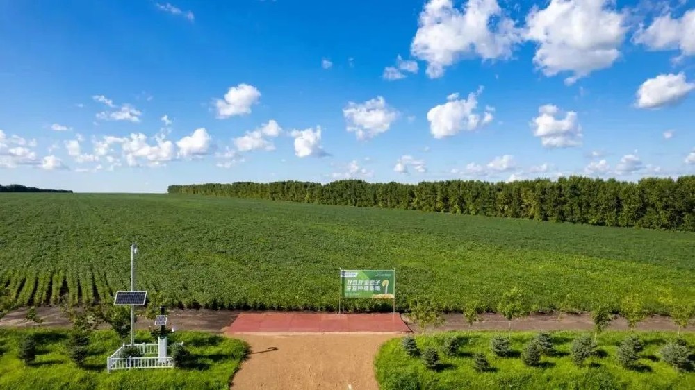 【河南日?qǐng)?bào)農(nóng)村版報(bào)道】金豆子如何用14年把一顆小豆芽種成民生大事業(yè)