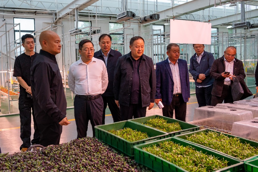 國(guó)家大豆產(chǎn)業(yè)專家團(tuán)赴金豆子集團(tuán)考察調(diào)研，共同探討大豆產(chǎn)業(yè)鏈發(fā)展